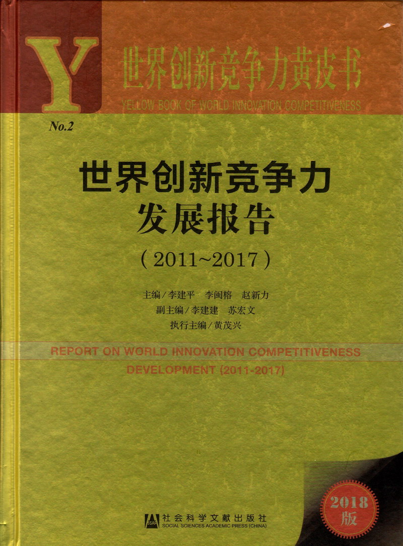 男女JJ啊啊啊免费网站世界创新竞争力发展报告（2011-2017）